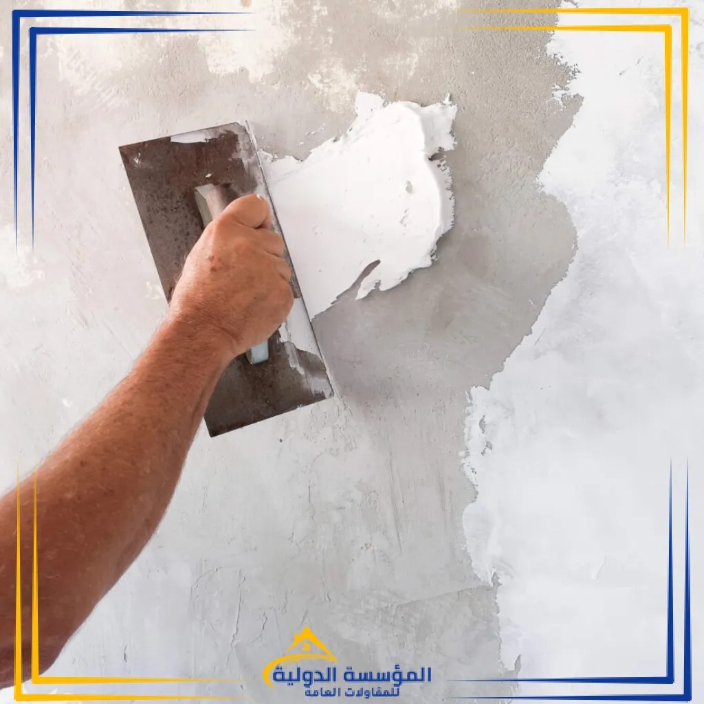 لياسه (24)