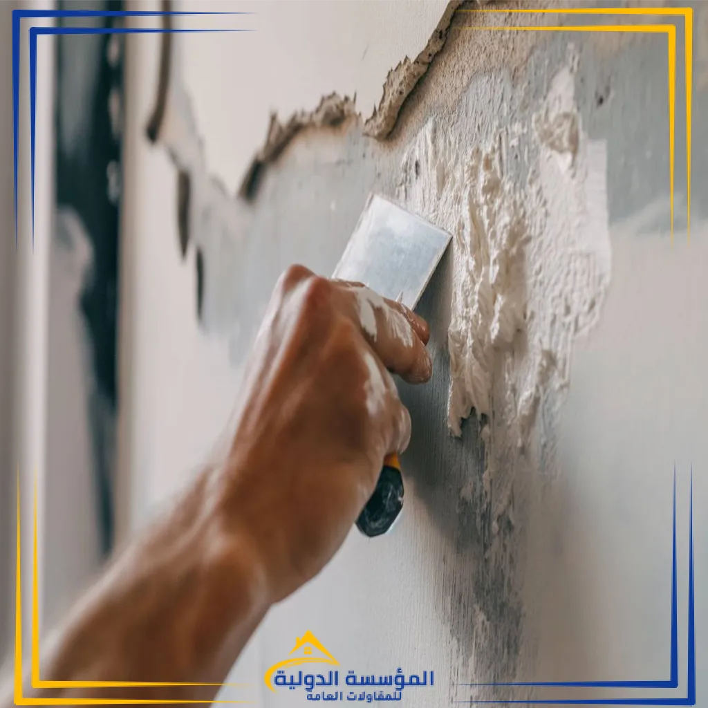لياسه (38)