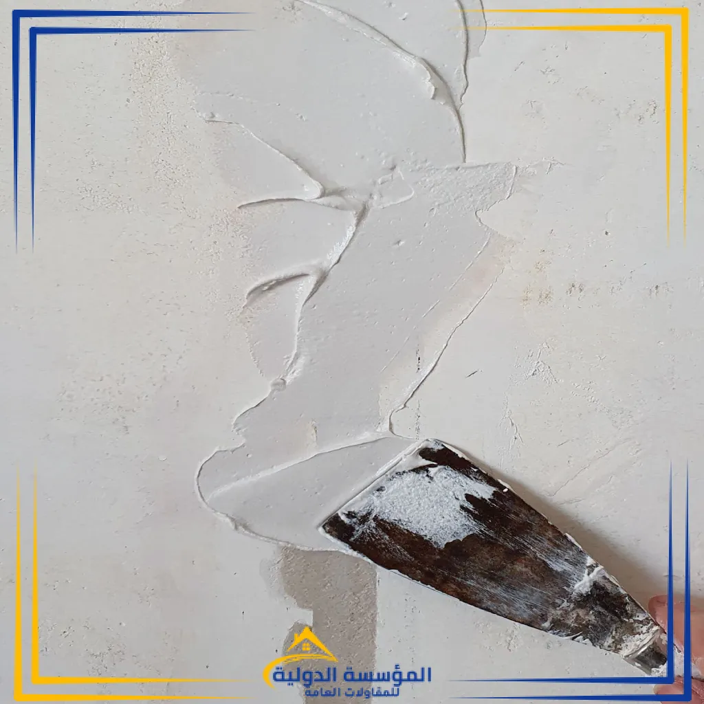 لياسه (55)
